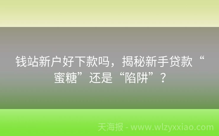 钱站新户好下款吗，揭秘新手贷款“蜜糖”还是“陷阱”？