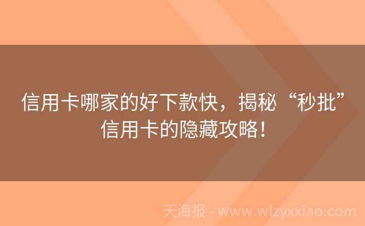 信用卡哪家的好下款快，揭秘“秒批”信用卡的隐藏攻略！