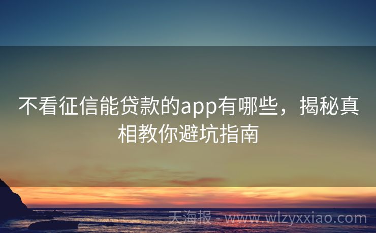 不看征信能贷款的app有哪些，揭秘真相教你避坑指南