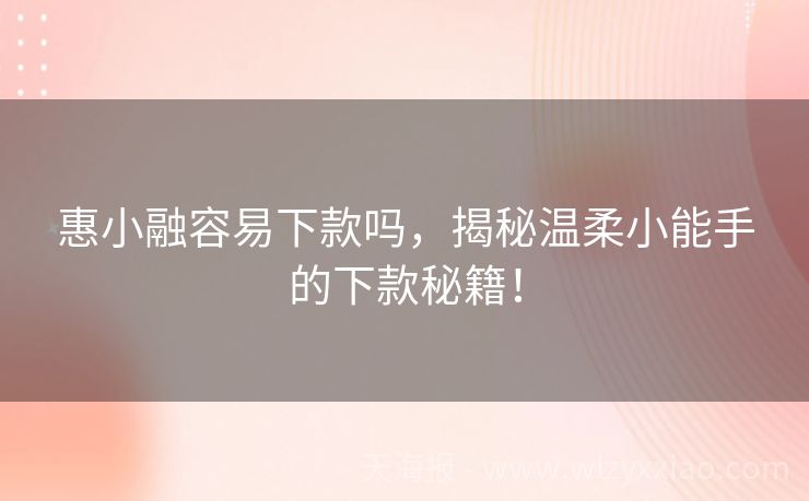 惠小融容易下款吗，揭秘温柔小能手的下款秘籍！