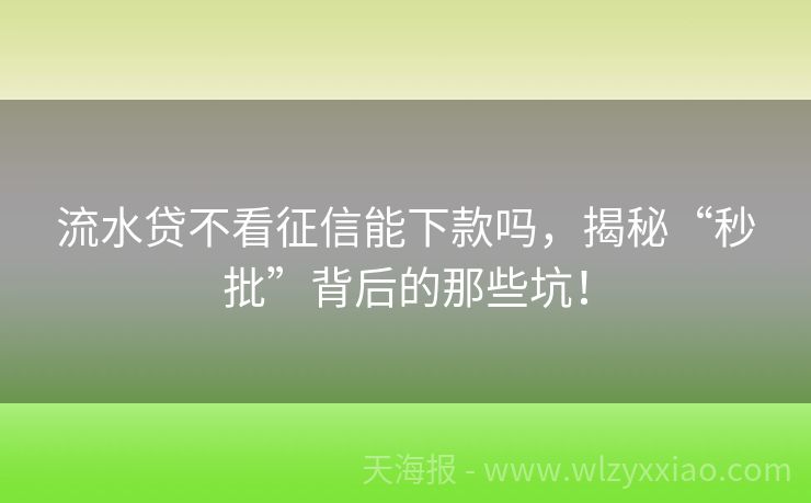 流水贷不看征信能下款吗，揭秘“秒批”背后的那些坑！