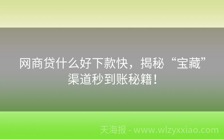 网商贷什么好下款快，揭秘“宝藏”渠道秒到账秘籍！