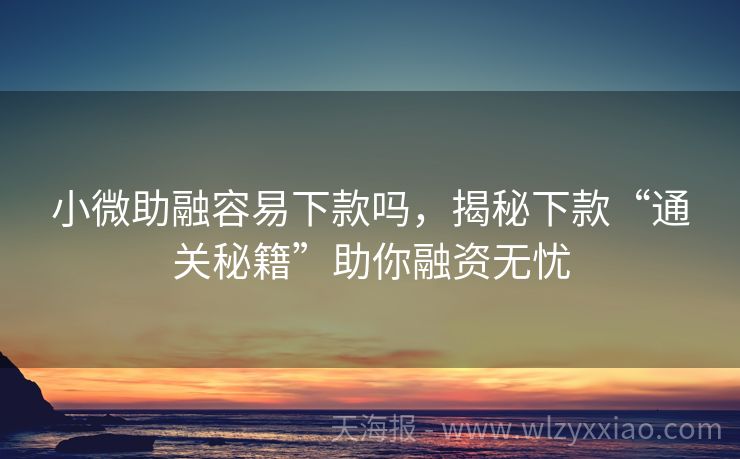 小微助融容易下款吗，揭秘下款“通关秘籍”助你融资无忧