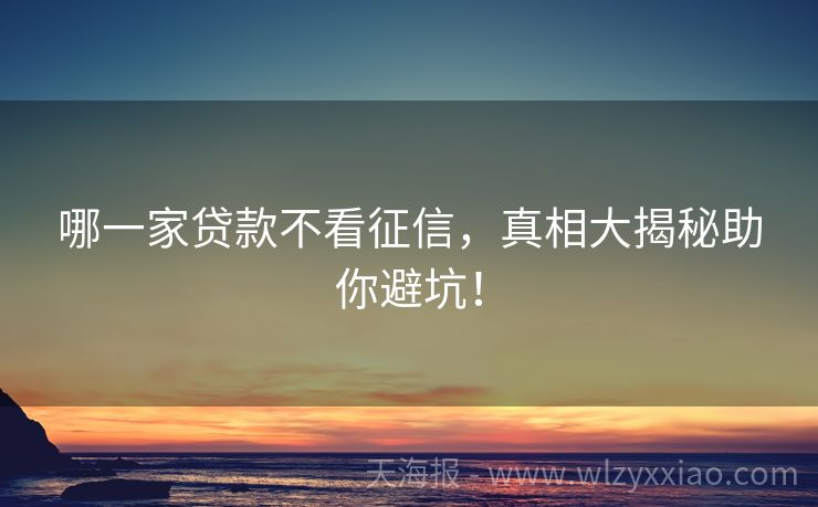 哪一家贷款不看征信，真相大揭秘助你避坑！