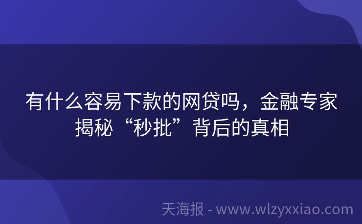 有什么容易下款的网贷吗，金融专家揭秘“秒批”背后的真相