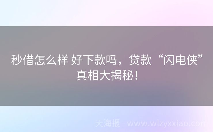 秒借怎么样 好下款吗，贷款“闪电侠”真相大揭秘！