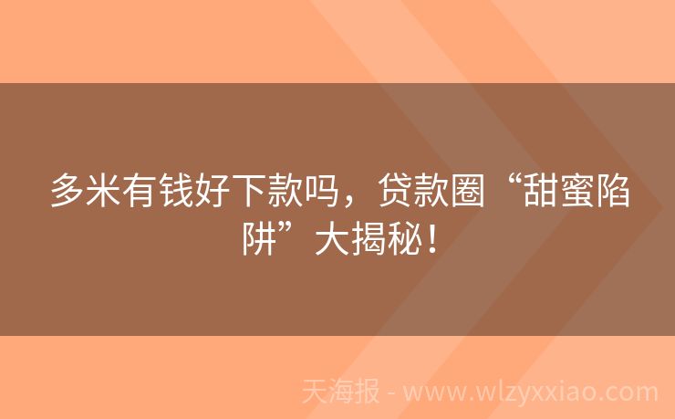 多米有钱好下款吗，贷款圈“甜蜜陷阱”大揭秘！