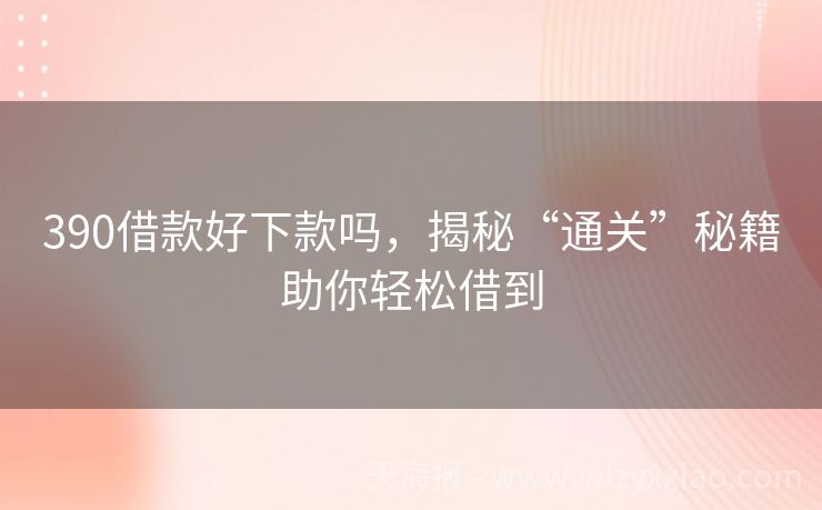 390借款好下款吗，揭秘“通关”秘籍助你轻松借到