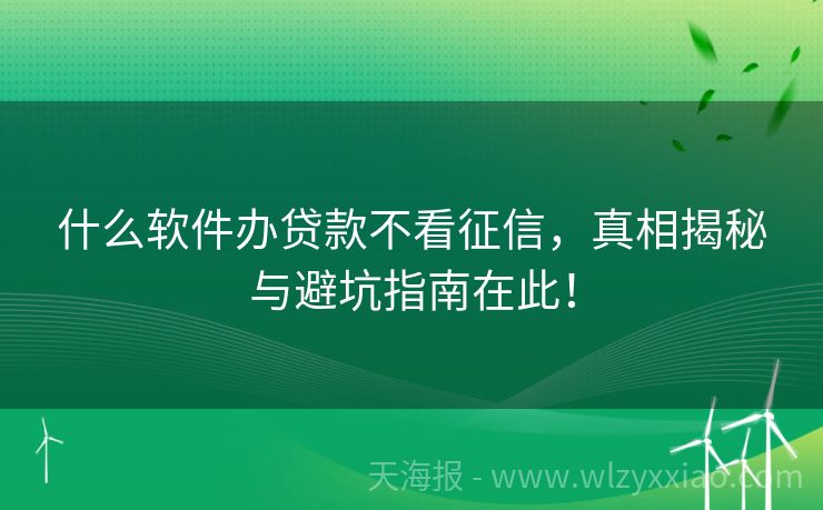 什么软件办贷款不看征信，真相揭秘与避坑指南在此！