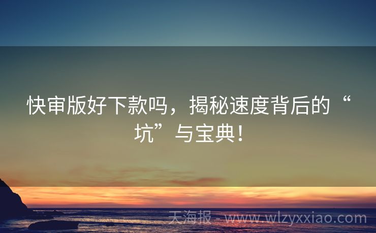 快审版好下款吗，揭秘速度背后的“坑”与宝典！
