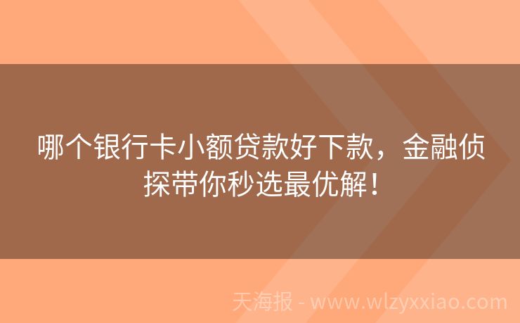 哪个银行卡小额贷款好下款，金融侦探带你秒选最优解！