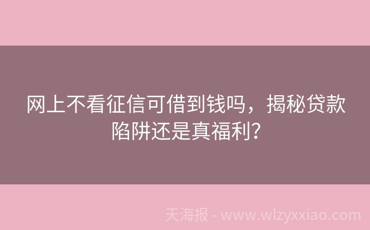 网上不看征信可借到钱吗，揭秘贷款陷阱还是真福利？