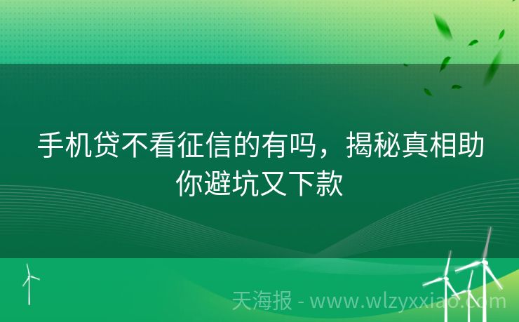 手机贷不看征信的有吗，揭秘真相助你避坑又下款