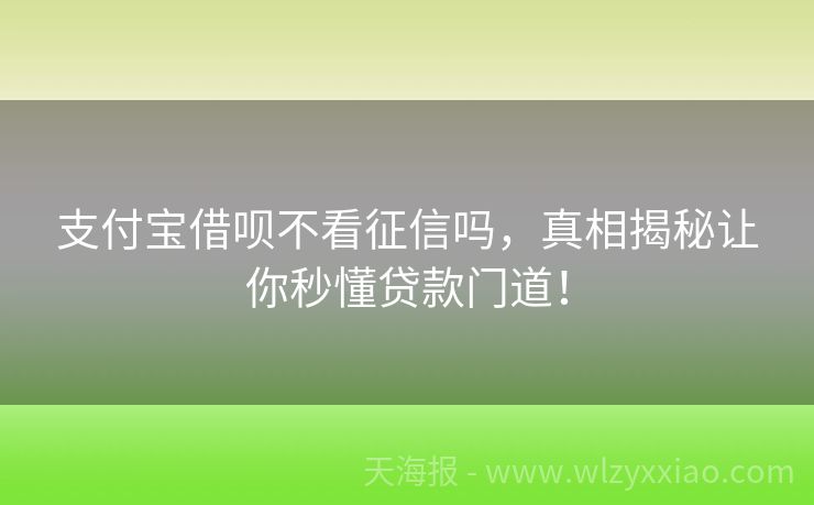 支付宝借呗不看征信吗，真相揭秘让你秒懂贷款门道！