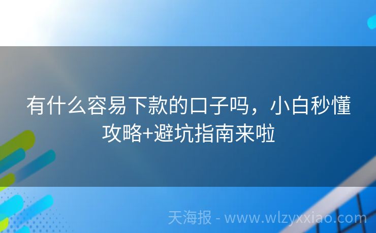 有什么容易下款的口子吗，小白秒懂攻略+避坑指南来啦
