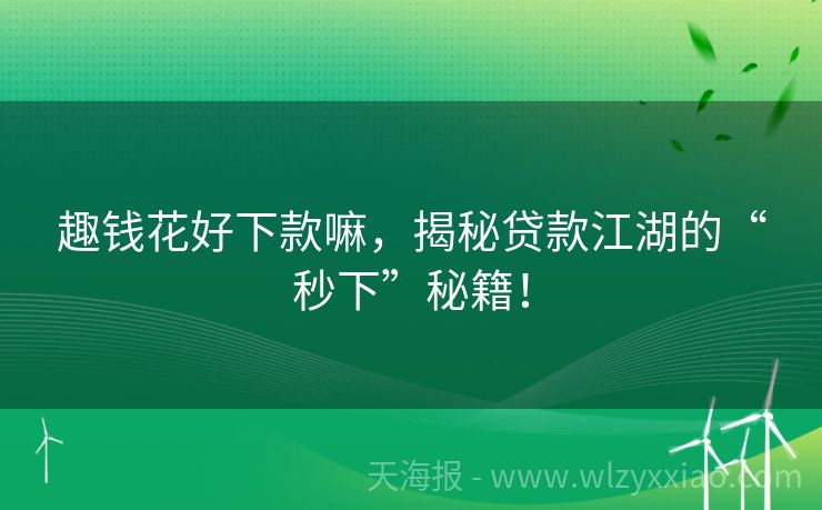 趣钱花好下款嘛，揭秘贷款江湖的“秒下”秘籍！