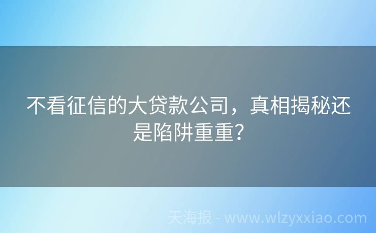 不看征信的大贷款公司，真相揭秘还是陷阱重重？