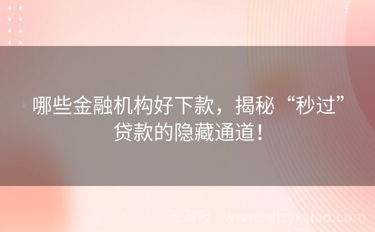 哪些金融机构好下款，揭秘“秒过”贷款的隐藏通道！