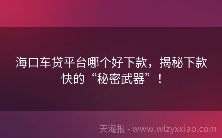 海口车贷平台哪个好下款，揭秘下款快的“秘密武器”！