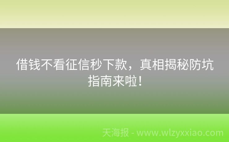 借钱不看征信秒下款，真相揭秘防坑指南来啦！