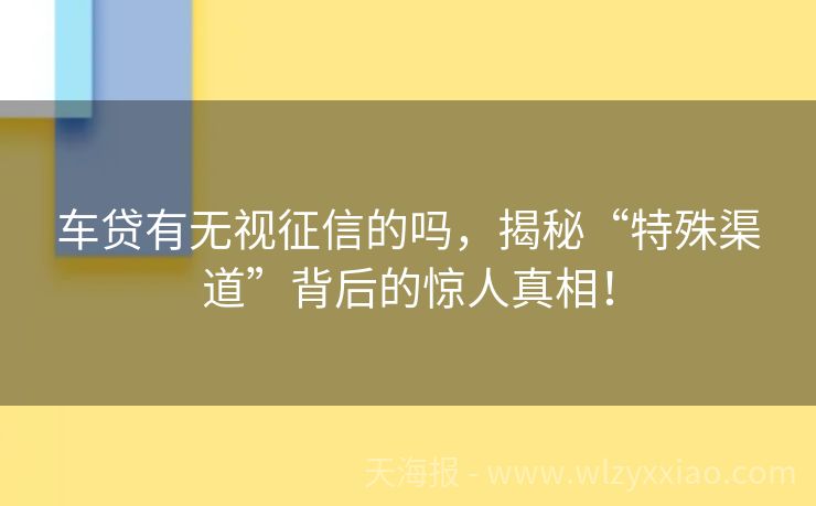 车贷有无视征信的吗，揭秘“特殊渠道”背后的惊人真相！