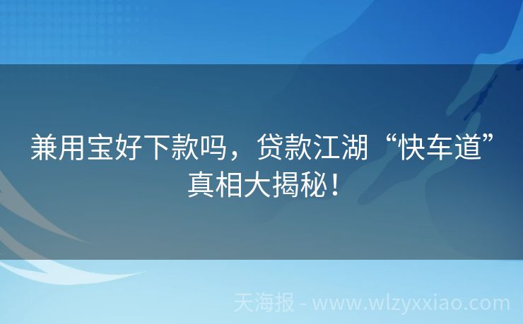 兼用宝好下款吗，贷款江湖“快车道”真相大揭秘！