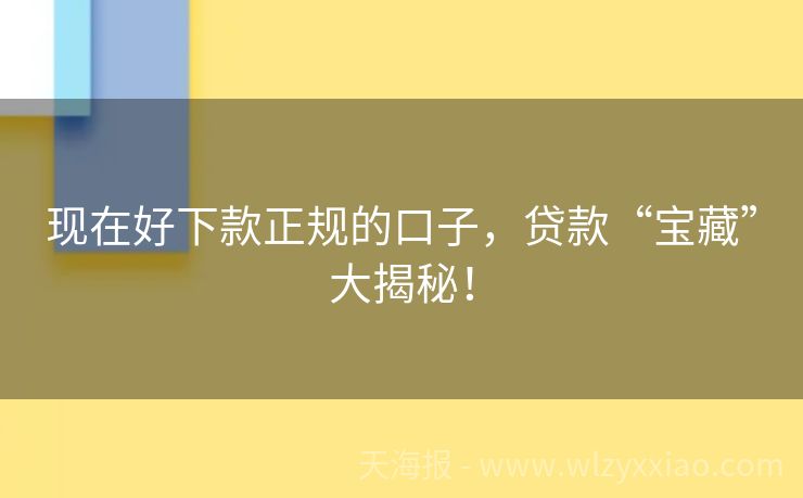 现在好下款正规的口子，贷款“宝藏”大揭秘！