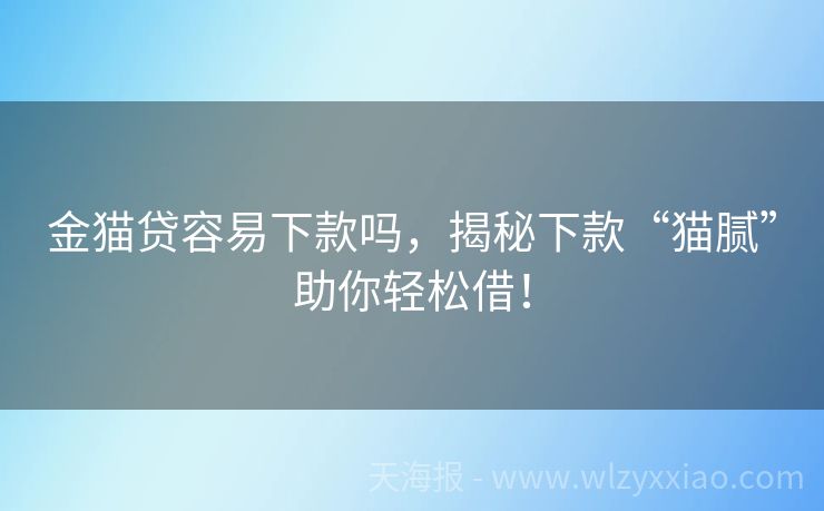 金猫贷容易下款吗，揭秘下款“猫腻”助你轻松借！