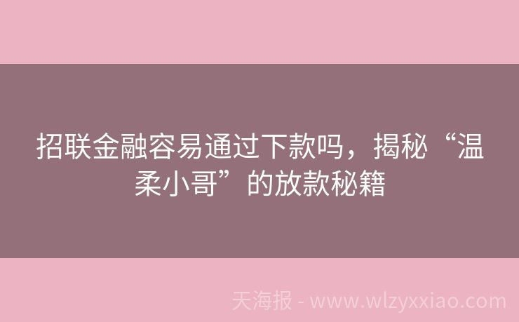 招联金融容易通过下款吗，揭秘“温柔小哥”的放款秘籍
