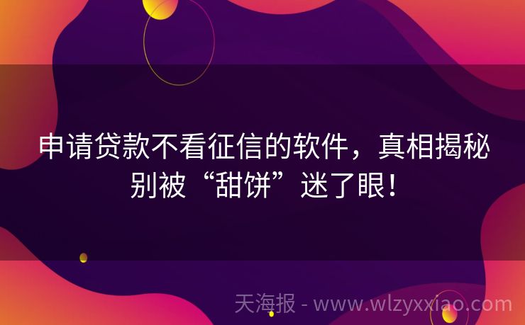 申请贷款不看征信的软件，真相揭秘别被“甜饼”迷了眼！