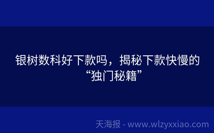 银树数科好下款吗，揭秘下款快慢的“独门秘籍”