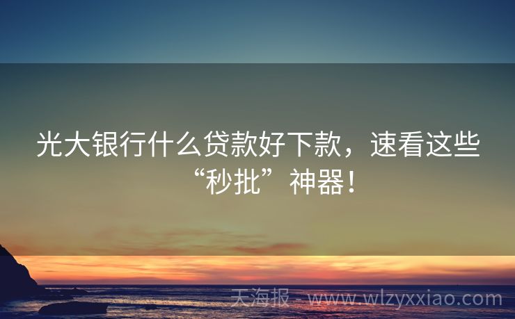 光大银行什么贷款好下款，速看这些“秒批”神器！