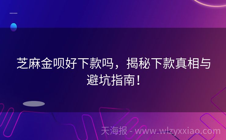 芝麻金呗好下款吗，揭秘下款真相与避坑指南！