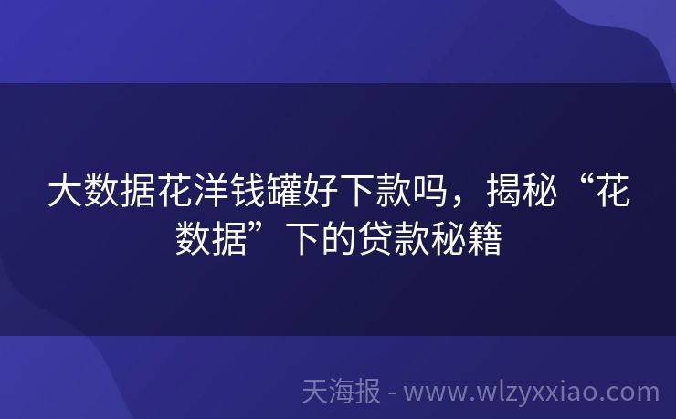 大数据花洋钱罐好下款吗，揭秘“花数据”下的贷款秘籍