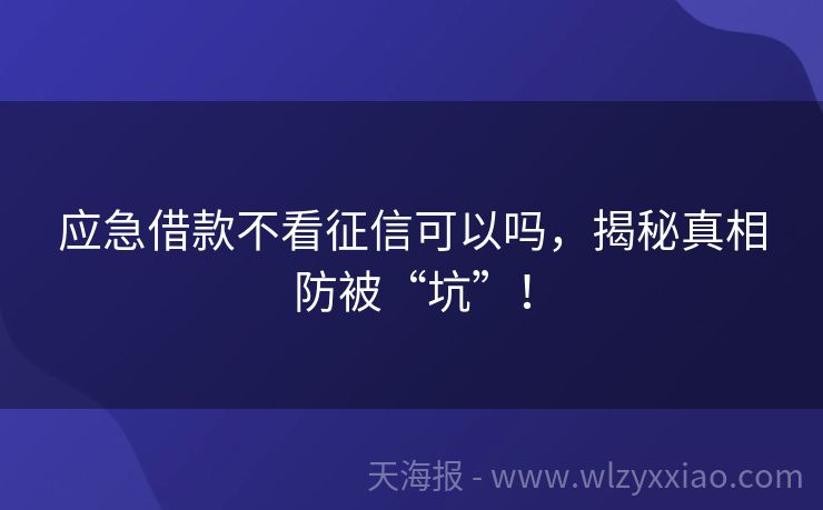 应急借款不看征信可以吗，揭秘真相防被“坑”！