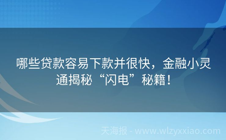 哪些贷款容易下款并很快，金融小灵通揭秘“闪电”秘籍！