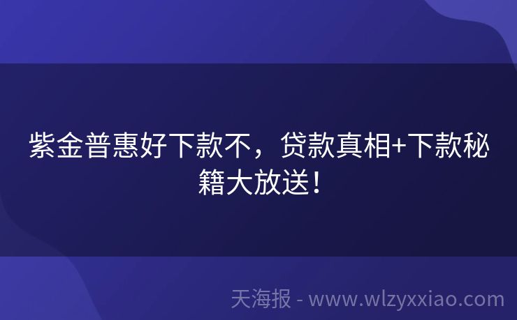 紫金普惠好下款不，贷款真相+下款秘籍大放送！