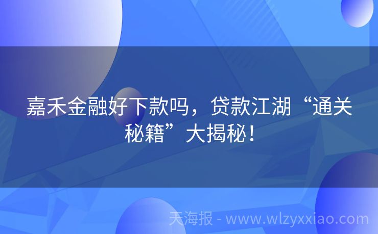 嘉禾金融好下款吗，贷款江湖“通关秘籍”大揭秘！