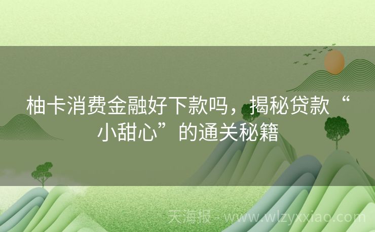 柚卡消费金融好下款吗，揭秘贷款“小甜心”的通关秘籍