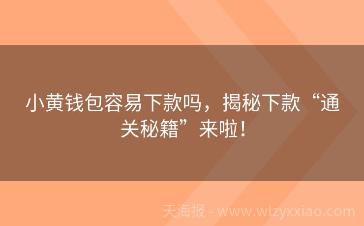 小黄钱包容易下款吗，揭秘下款“通关秘籍”来啦！