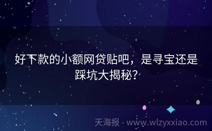 好下款的小额网贷贴吧，是寻宝还是踩坑大揭秘？