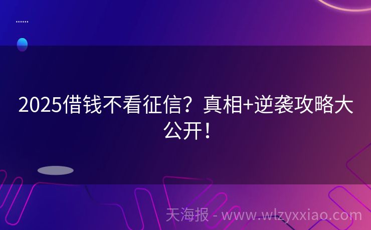 2025借钱不看征信？真相+逆袭攻略大公开！