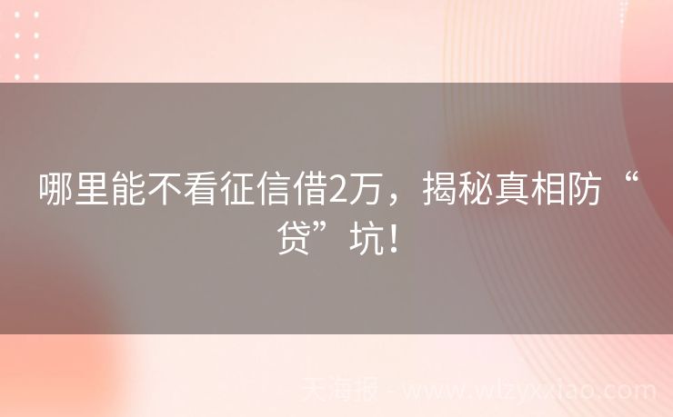 哪里能不看征信借2万，揭秘真相防“贷”坑！