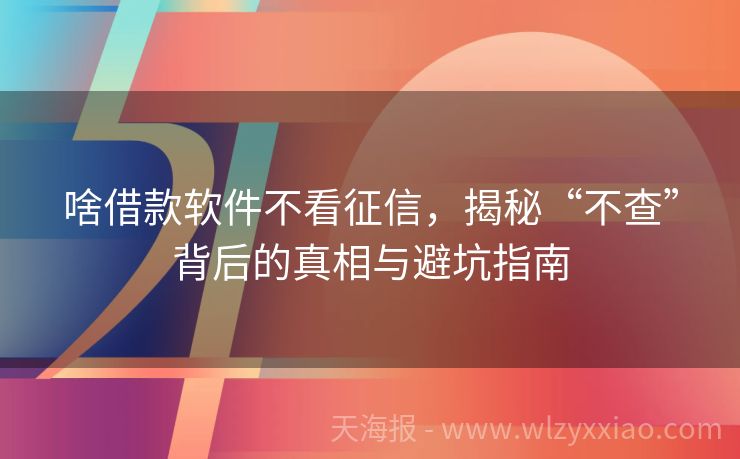 啥借款软件不看征信，揭秘“不查”背后的真相与避坑指南