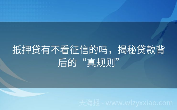 抵押贷有不看征信的吗，揭秘贷款背后的“真规则”