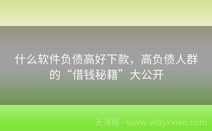 什么软件负债高好下款，高负债人群的“借钱秘籍”大公开
