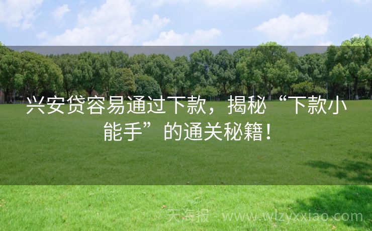 兴安贷容易通过下款，揭秘“下款小能手”的通关秘籍！