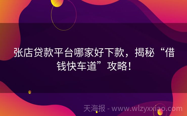 张店贷款平台哪家好下款，揭秘“借钱快车道”攻略！