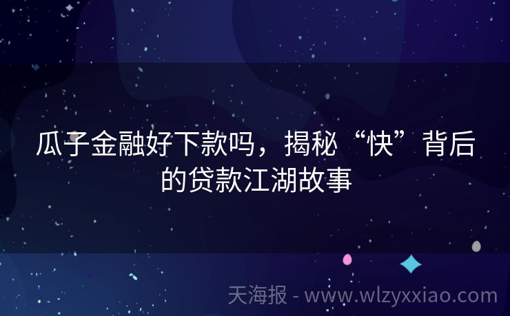 瓜子金融好下款吗，揭秘“快”背后的贷款江湖故事