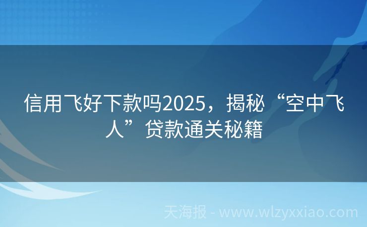 信用飞好下款吗2025，揭秘“空中飞人”贷款通关秘籍